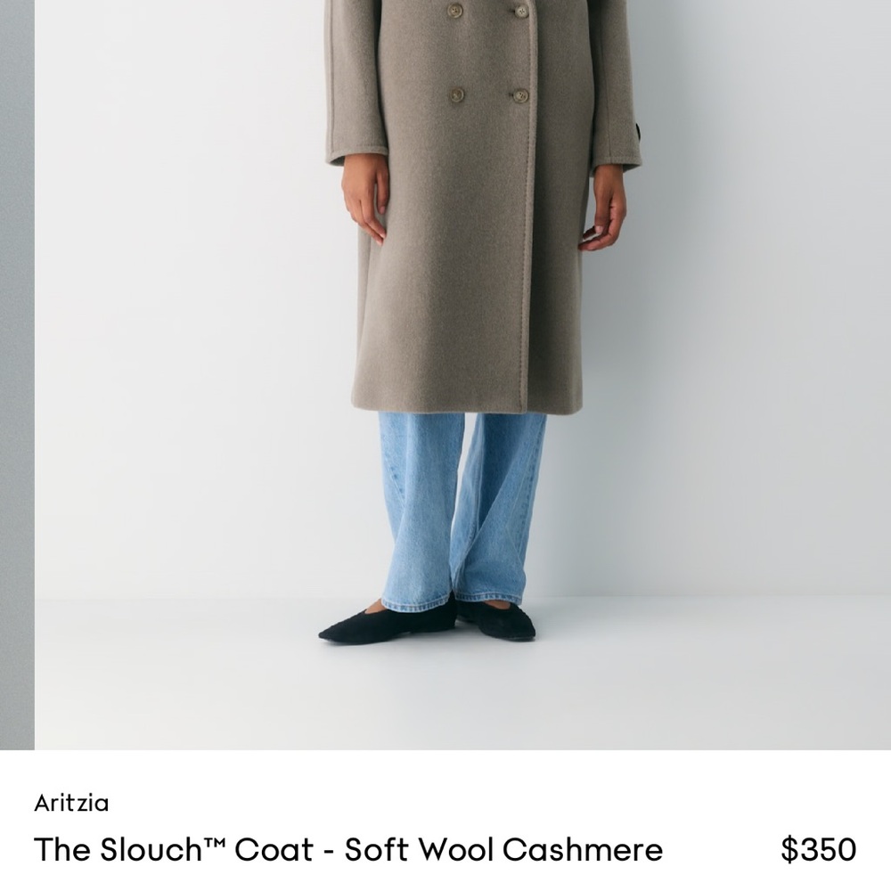 Aritzia Slouch Coat